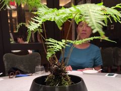 -漢舍中国菜馆(浦东嘉里城店)