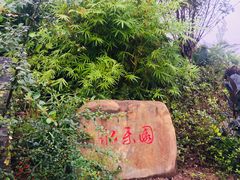 -枫香湖儿童公园