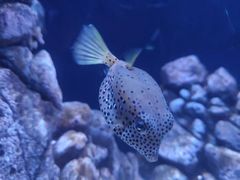 -成都浩海立方海洋公园
