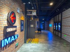 -CGV影城(壹方城IMAX店)