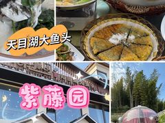 -紫藤园·天目湖大鱼头(南山竹海店)