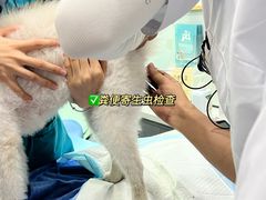 -pd派德宠物中心医院24H急重症·眼科中心·血液透析中心(嵩山北路店)