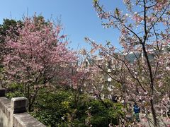 -乌山风景区