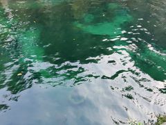 -沕沕水生态风景区