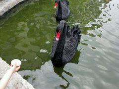 -南京圣和府邸豪华精选酒店