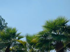 -西昌邛海湾柏樾酒店(原邛海湾柏栎度假酒店)