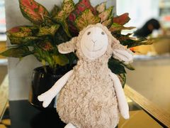 -九府羊·鲜羊火锅·烤串(新华路店)