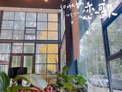 -桉树林A coffee 森林餐厅(三圣乡店)