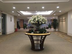 -北京明德医院·医疗美容
