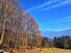 -硗碛藏寨·神木垒景区