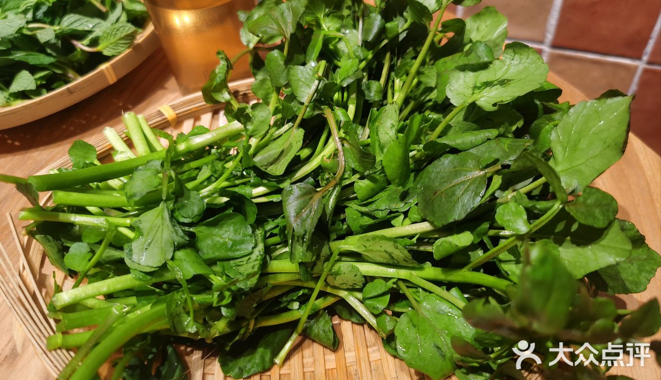 春天，这些野菜你认识么？