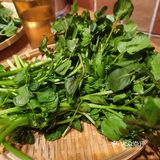 春天，这些野菜你认识么？