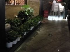 -绿茶餐厅(华联万柳店)