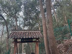 -灵顺寺
