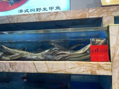 水产区-榕树下海鲜馆(坪山路店)