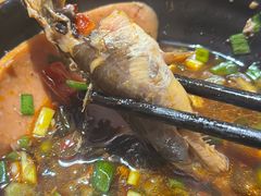 -三道苗苗鱼·美蛙黄辣丁(八里店)