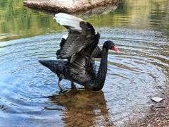 -宝岩生态观光园