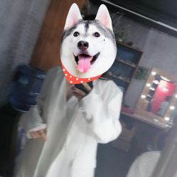 -索菲亚摄影会所