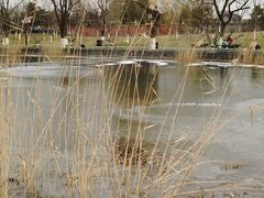 -西海子公园