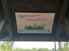 -永定河休闲森林公园