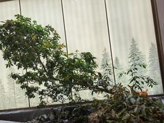-双湖宴·湖北菜(文化路店)