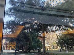 -亮马河饭店翠雅咖啡厅