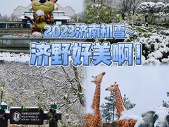 -济南野生动物世界