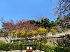 -烟台山景区