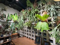 -自由生长植物工作室(深港花卉中心店)