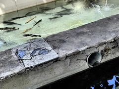 -钰田大院·怀柔地道农家菜·烤虹鳟鱼(雁栖湖店)