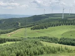 -塞罕坝国家级自然保护区