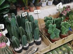 -无锡文化工艺品市场(槐古路店)