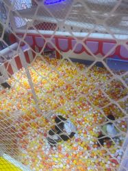 -孩之岛亲子乐园(喜盈门.范城店)