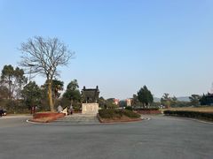 -金孔雀温泉旅游度假村