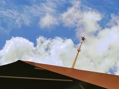 -健身专家Wellness Experts