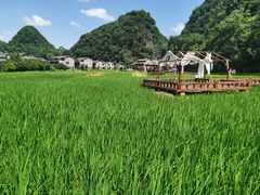 -高荡千年布依古寨旅游景区