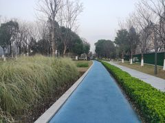 -金沙湖公园