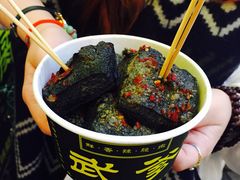 -武爹臭豆腐(坡子街店)