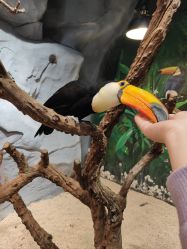 -Zoolung Zoolung动物主题公园(海信广场店)