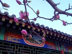 -丰台花园