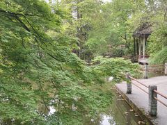 -上海植物园·停车场