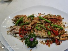 -凤城礼记鱼翅海鲜酒家(新马路总店)