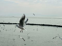 -苏州吴中太湖旅游区