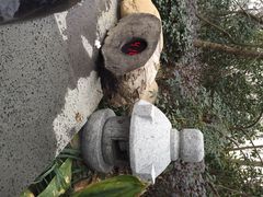 iphone_upload_pic-南京汤山紫清湖生态旅游温泉度假区