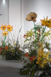 -明典婚礼策划·婚车租赁·婚纱摄影