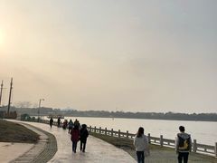 -溱湖国家湿地公园