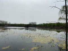 -溱湖国家湿地公园
