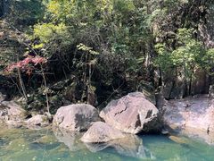 -丹山赤水风景名胜区