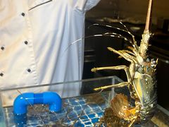 -博林天瑞喜来登酒店·西丽尚膳