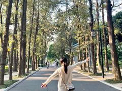 -南宁南湖公园